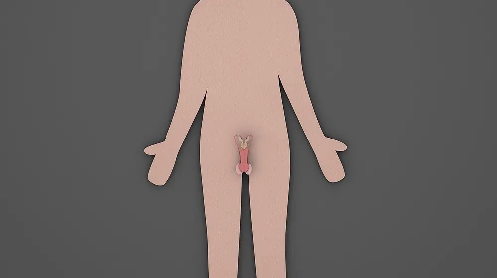 Gadżety wspomagające leczenie urologiczne - Nowe możliwości zdrowia