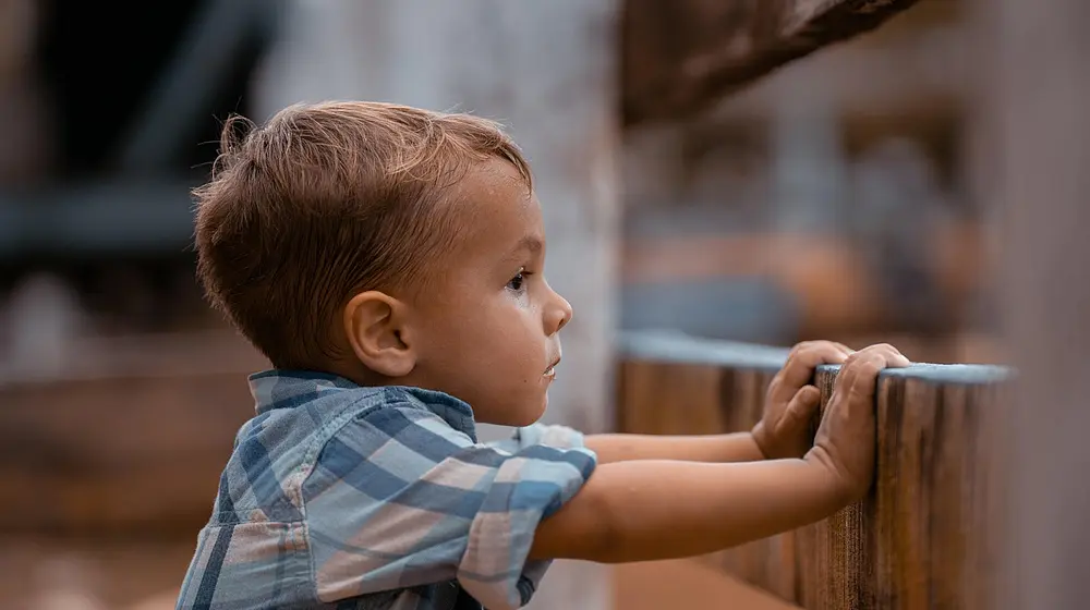 Czy adopcja dziecka jest tajna? Prawo mówi jasno