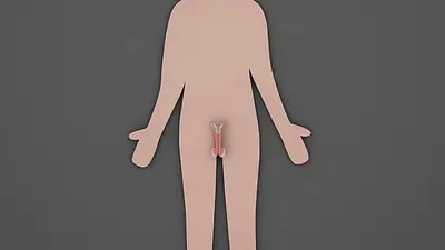Gadżety wspomagające leczenie urologiczne - Nowe możliwości zdrowia
